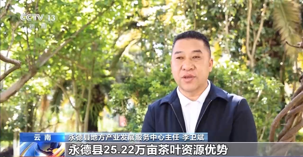 ” 两张产业名片助力云南经济腾飞不朽情缘app“左手咖啡右手茶(图2)