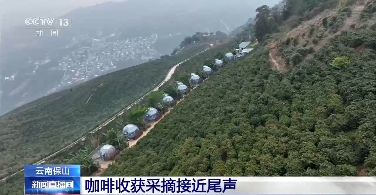 ” 两张产业名片助力云南经济腾飞不朽情缘app“左手咖啡右手茶(图5)