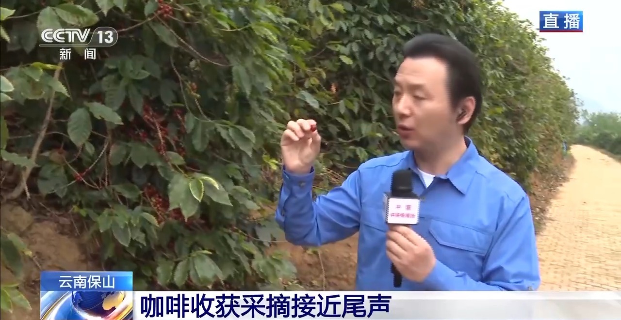 ” 两张产业名片助力云南经济腾飞不朽情缘app“左手咖啡右手茶(图7)