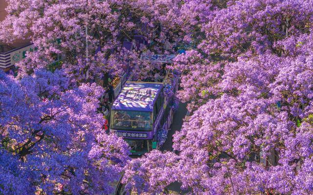 以更优服务繁荣文旅市场不朽情缘游戏网站登录(图11)